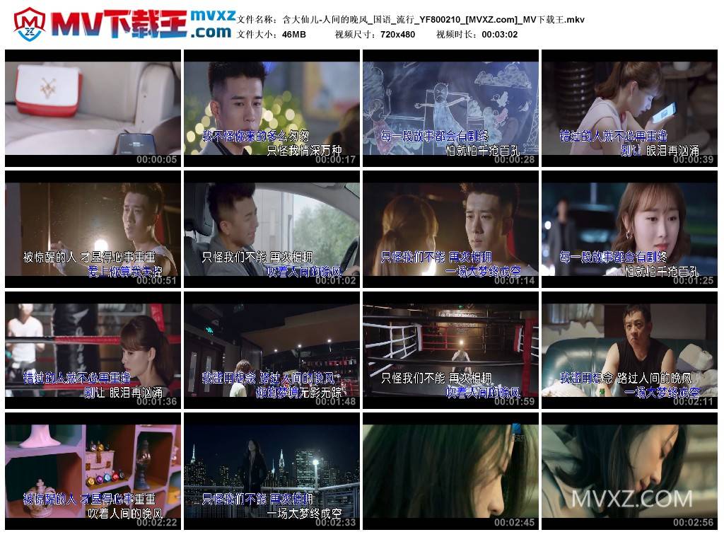 含大仙儿-人间的晚风_国语_流行_YF800210